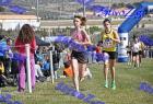 2012cross_714
