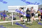 2012cross_716