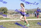 2012cross_720