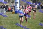 2012cross_724