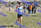 2012cross_734
