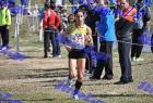 2012cross_737