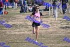 2012cross_738