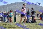 2012cross_740