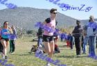 2012cross_741