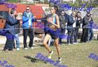 2012cross_743