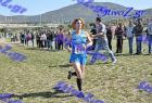 2012cross_746