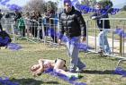 2012cross_755