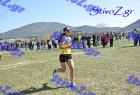 2012cross_757