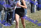 2012cross_767