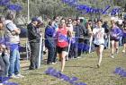 2012cross_772