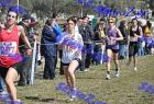 2012cross_773