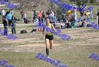 2012cross_775
