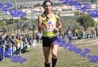 2012cross_777