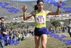 2012cross_779