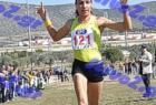 2012cross_780
