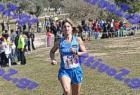 2012cross_786