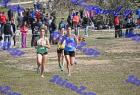 2012cross_789