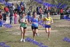 2012cross_790