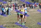 2012cross_792
