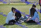 2012cross_815