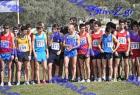 2012cross_828