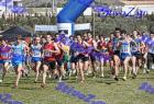 2012cross_830