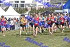 2012cross_831