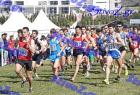 2012cross_832