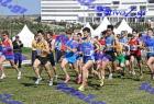 2012cross_833