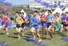 2012cross_834
