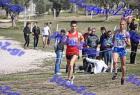 2012cross_845