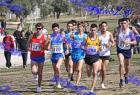 2012cross_848