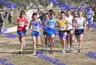 2012cross_849