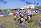 2012cross_850