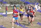 2012cross_852