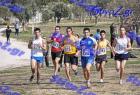2012cross_860