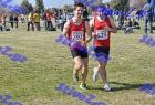 2012cross_879