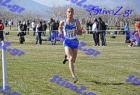 2012cross_880