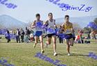 2012cross_884