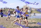 2012cross_901