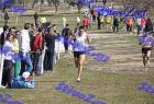 2012cross_905