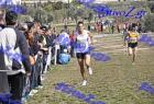 2012cross_906