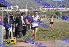 2012cross_909