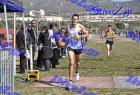 2012cross_910