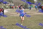 2012cross_912