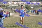 2012cross_913