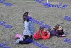2012cross_938