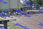 kalamata_226
