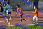 kalamata_486